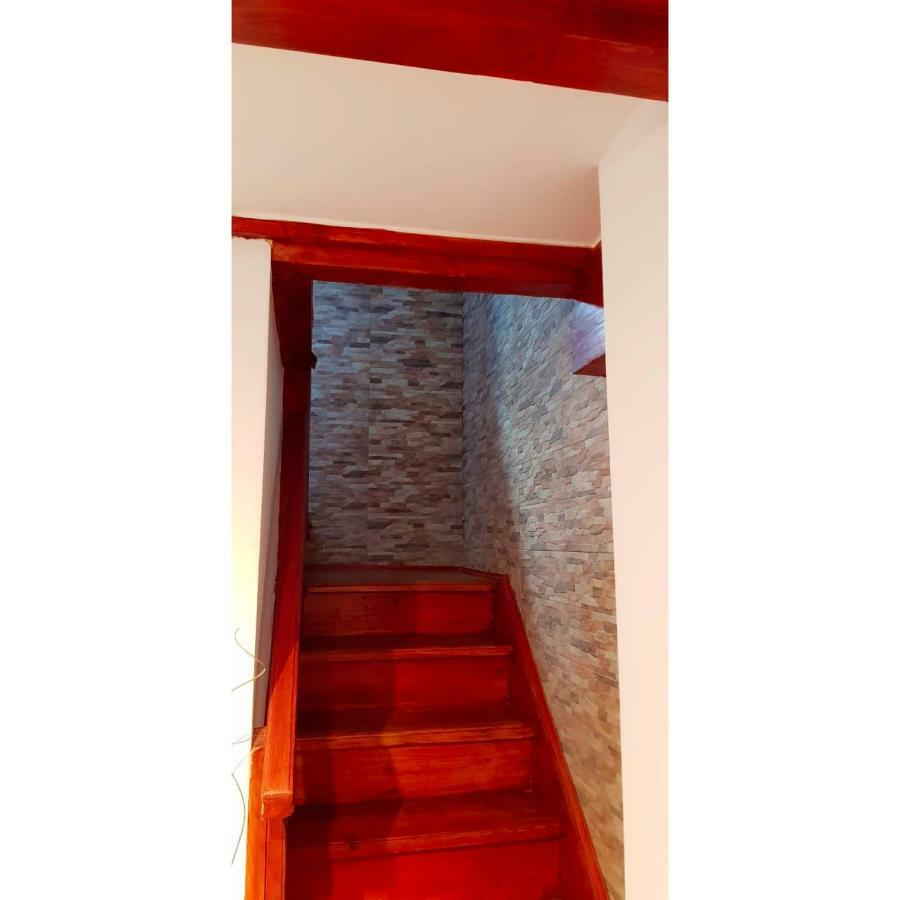 Vaso Apartament シナヤ エクステリア 写真