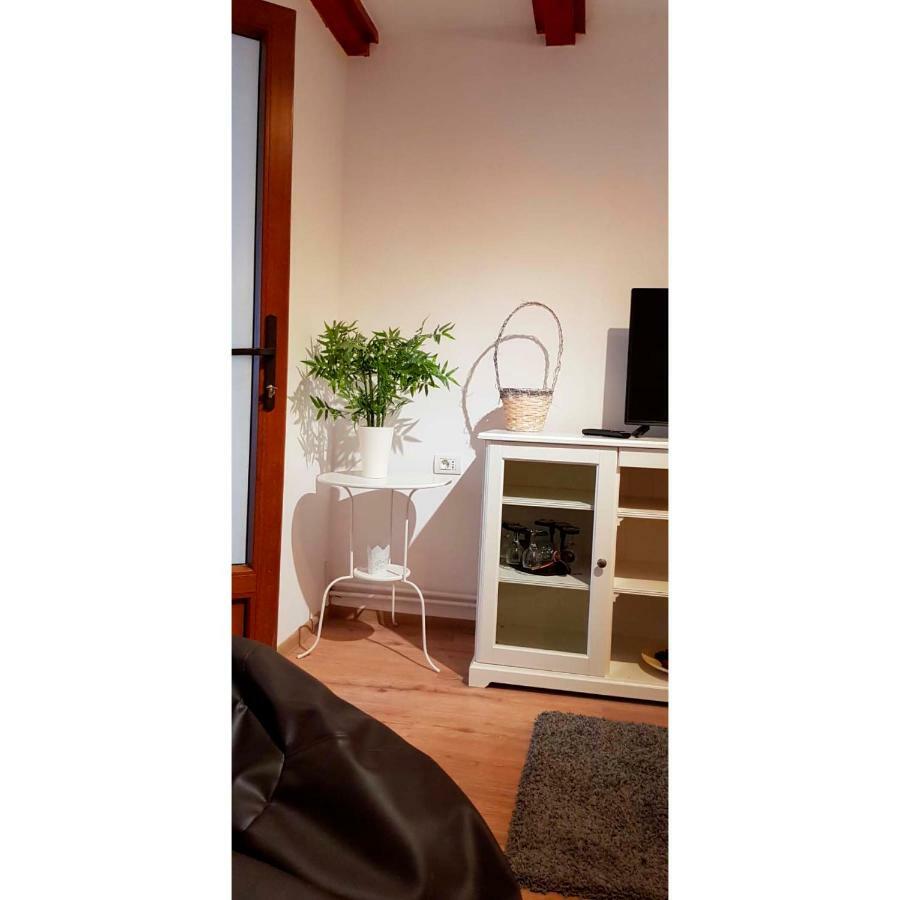 Vaso Apartament シナヤ エクステリア 写真