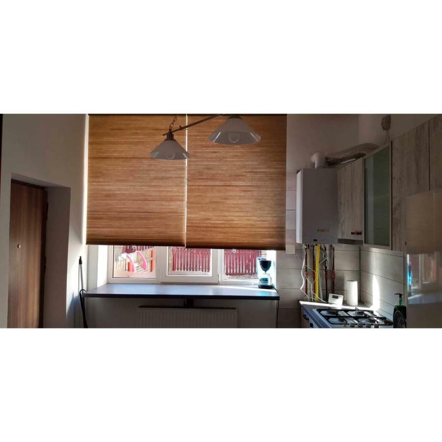 Vaso Apartament シナヤ エクステリア 写真