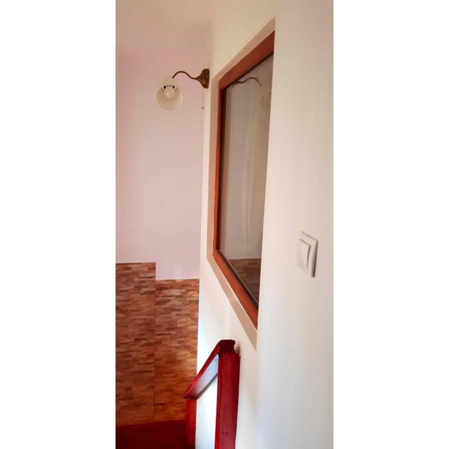 Vaso Apartament シナヤ エクステリア 写真